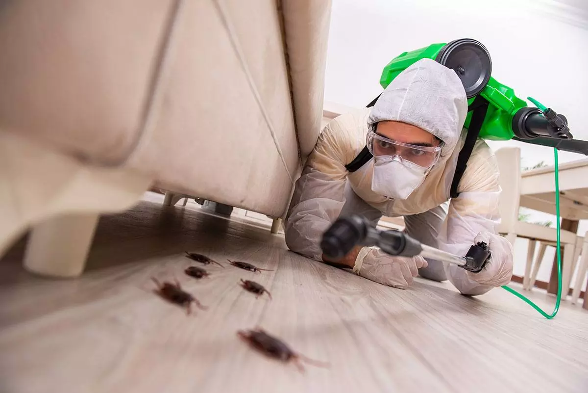 Pest Control Specialists In Burntwood